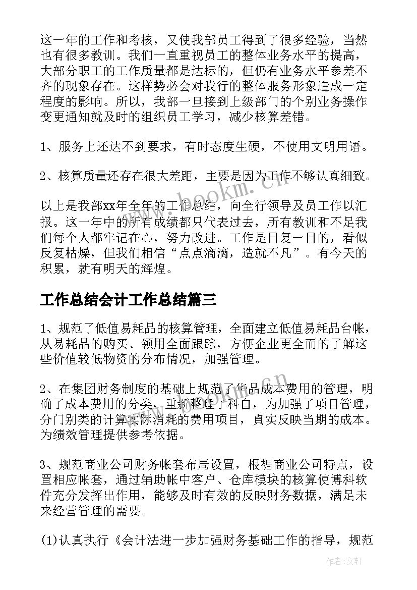 最新工作总结会计工作总结(通用10篇)