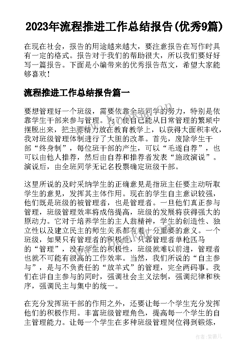 2023年流程推进工作总结报告(优秀9篇)