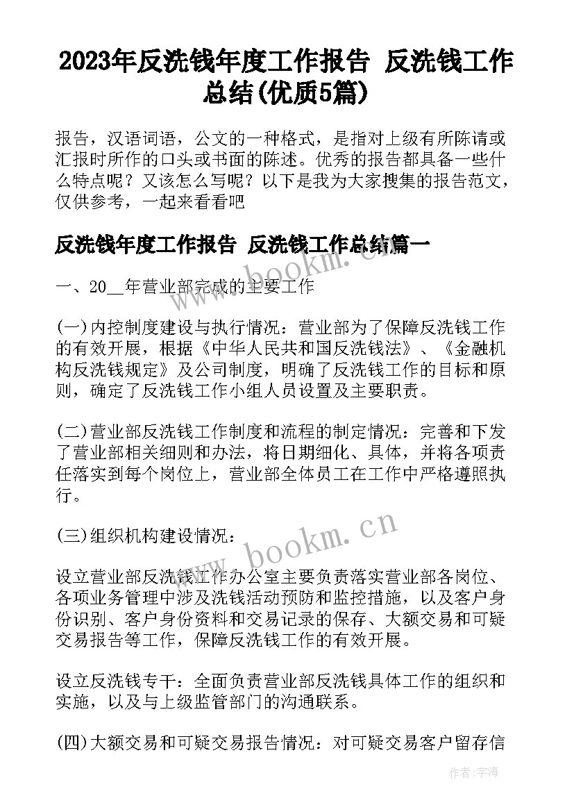 2023年反洗钱年度工作报告 反洗钱工作总结(优质5篇)