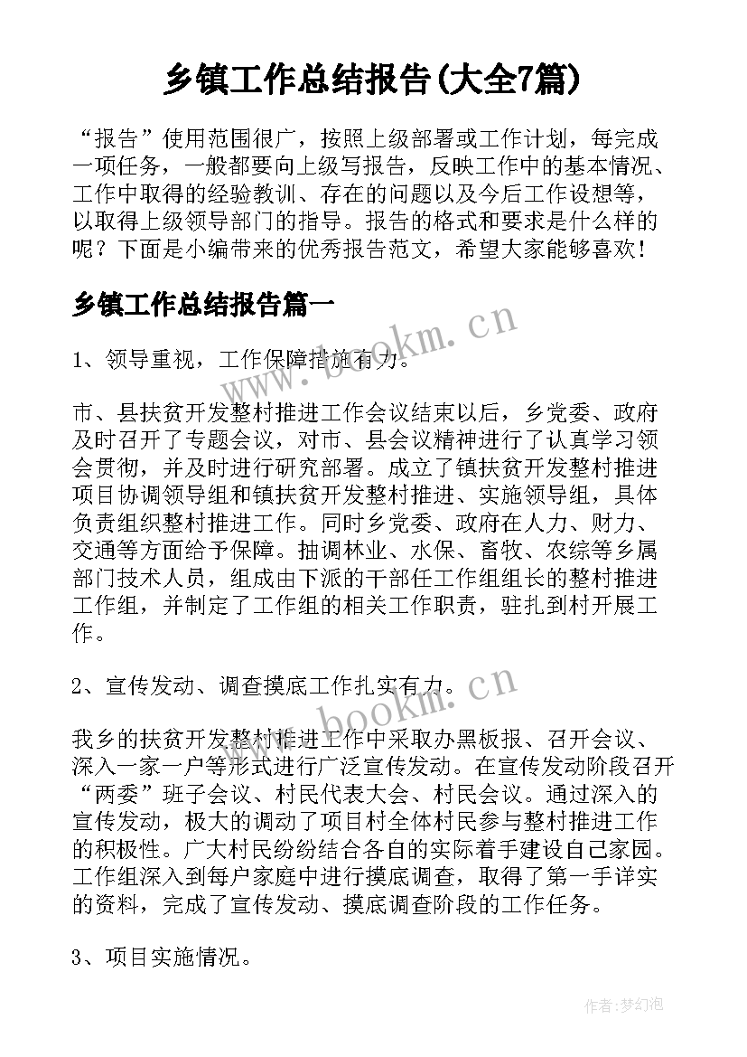 乡镇工作总结报告(大全7篇)