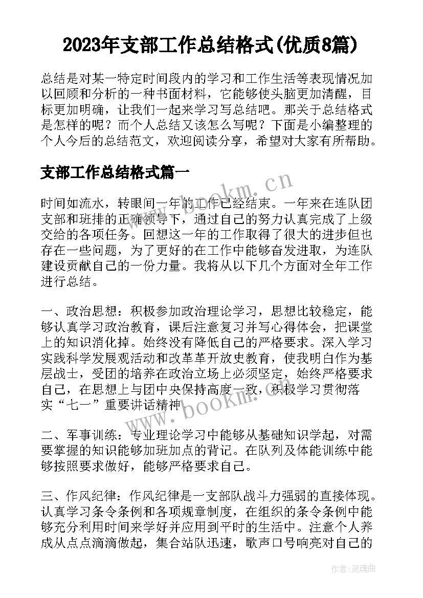 2023年支部工作总结格式(优质8篇)