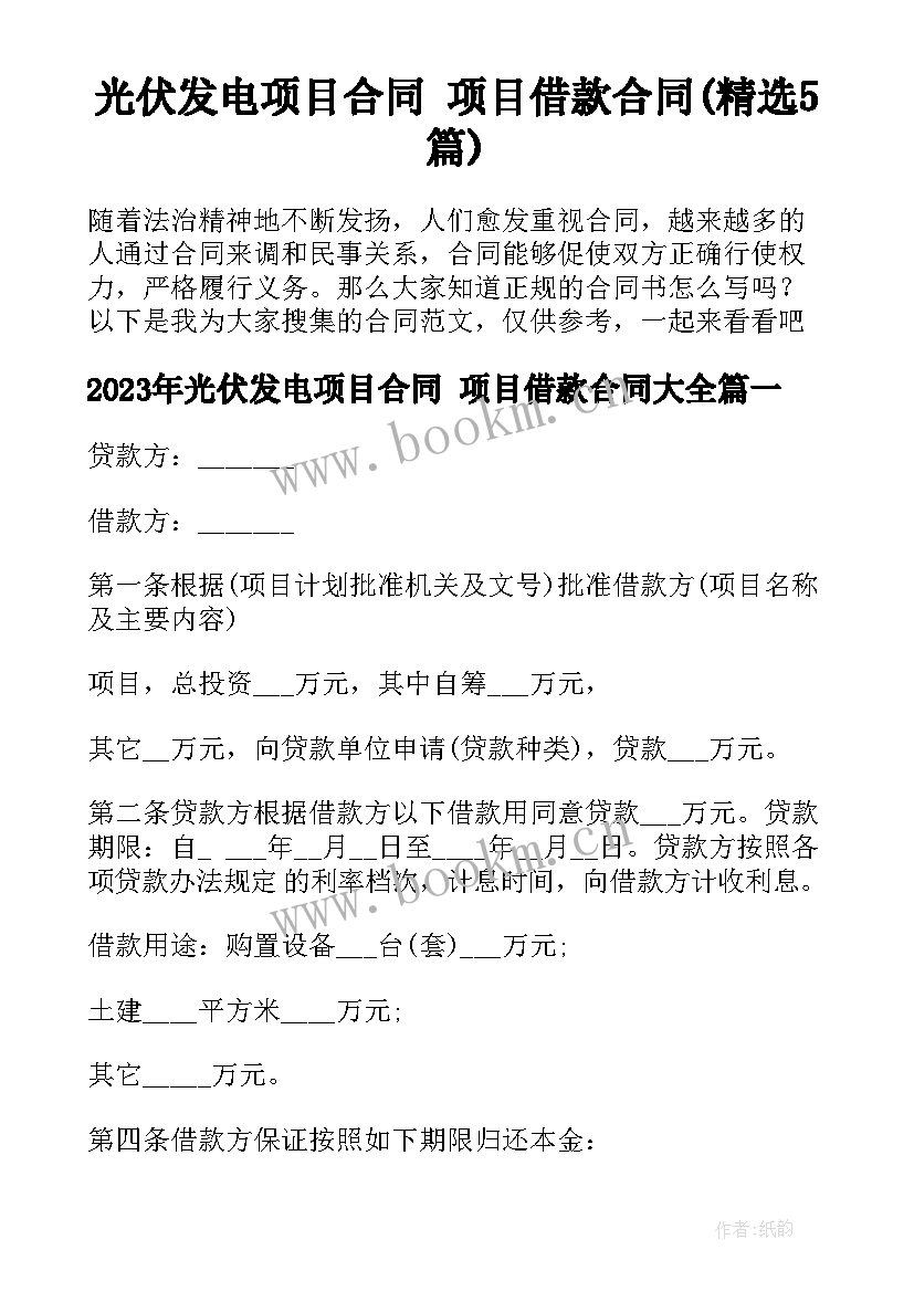 光伏发电项目合同 项目借款合同(精选5篇)