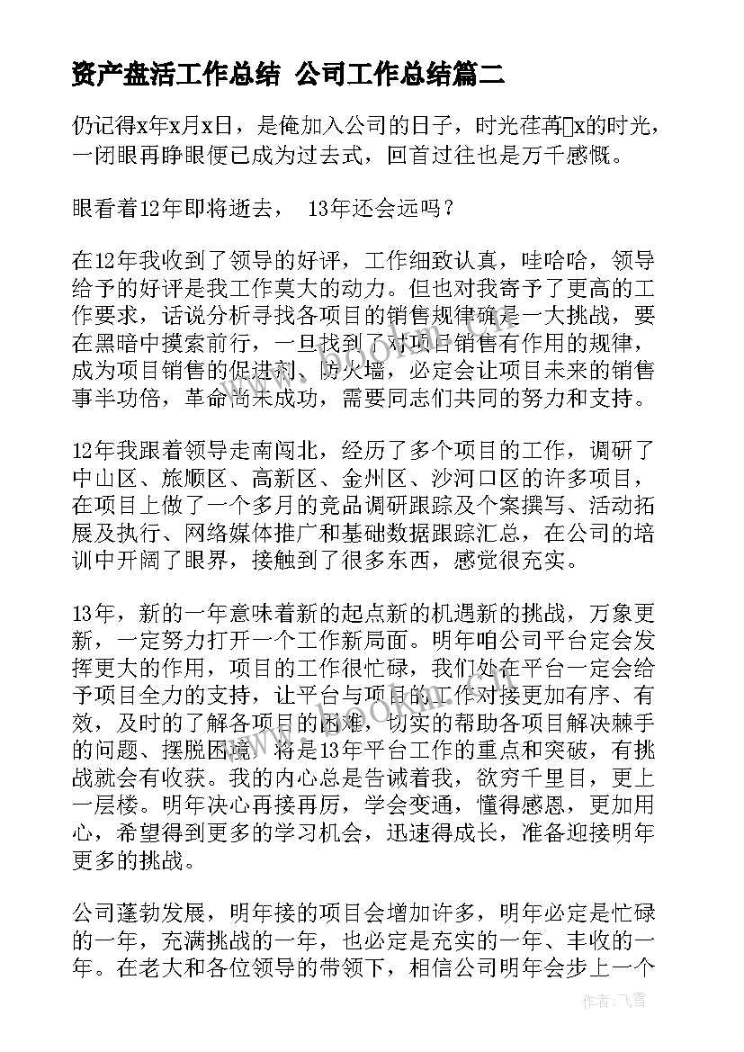 最新资产盘活工作总结 公司工作总结(优质5篇)