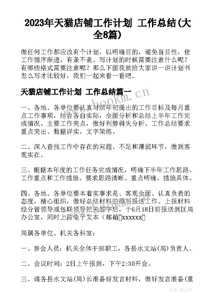 2023年天猫店铺工作计划 工作总结(大全8篇)