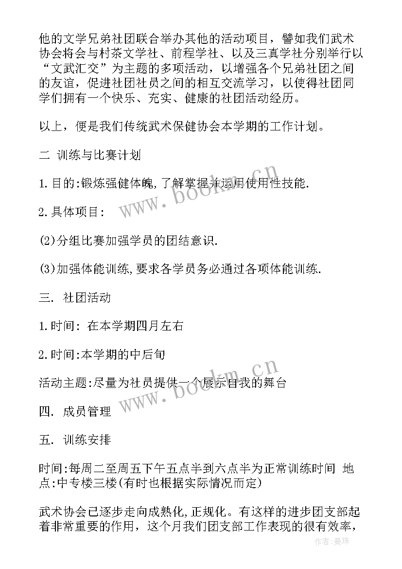 武术协会工作总结计划报告(模板10篇)