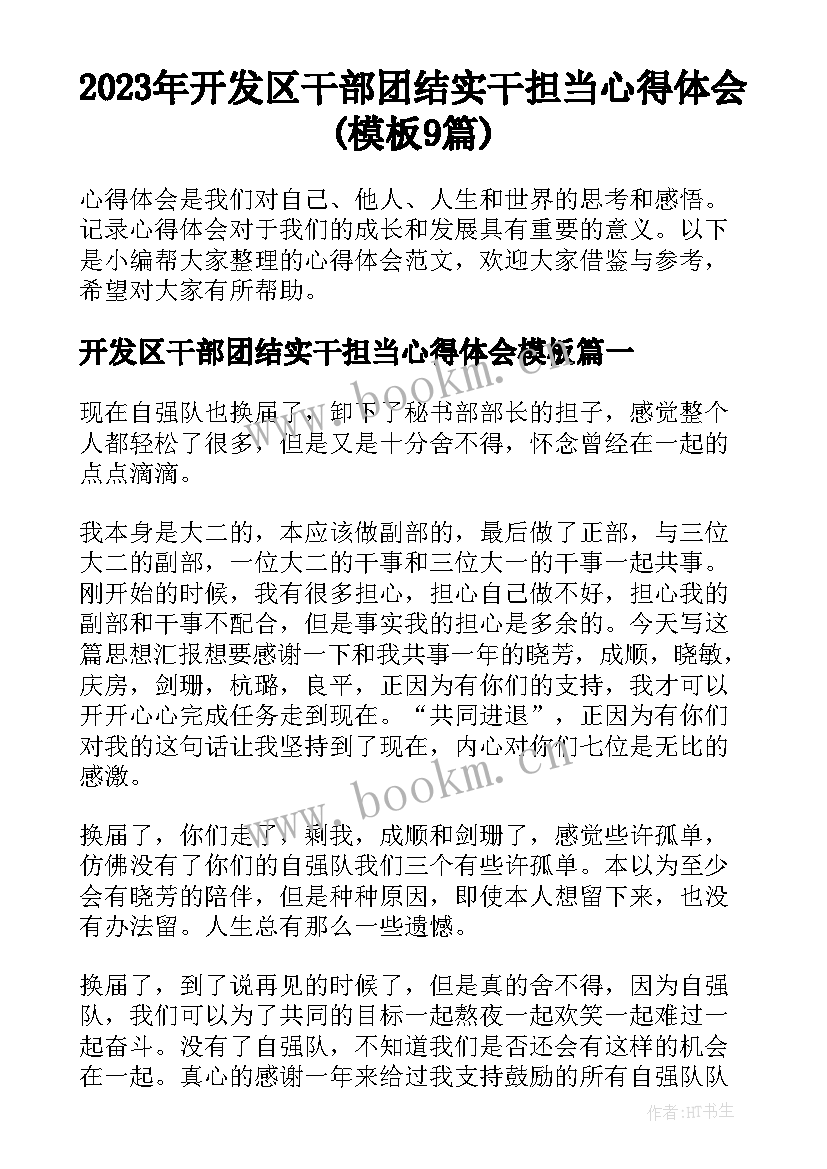 2023年开发区干部团结实干担当心得体会(模板9篇)