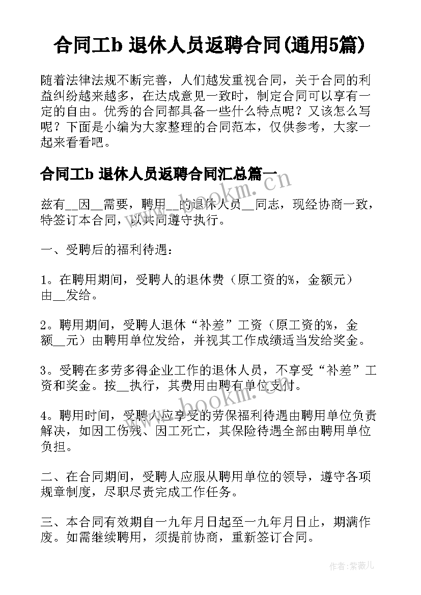 合同工b 退休人员返聘合同(通用5篇)