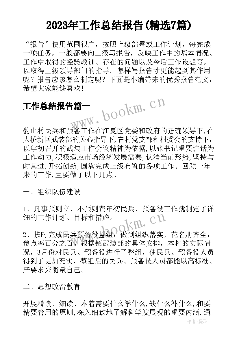 2023年工作总结报告(精选7篇)