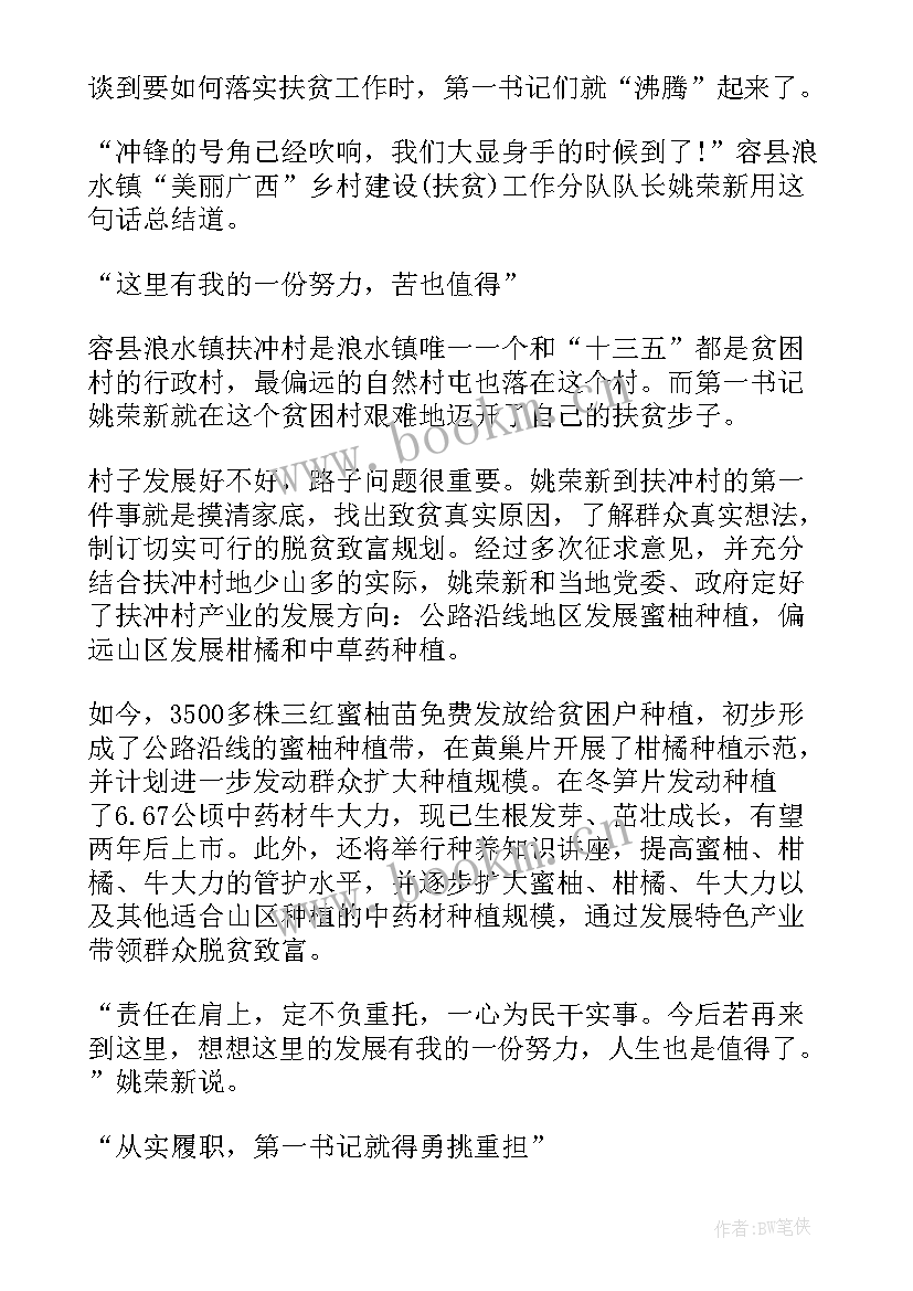 严打攻坚行动总结(模板9篇)