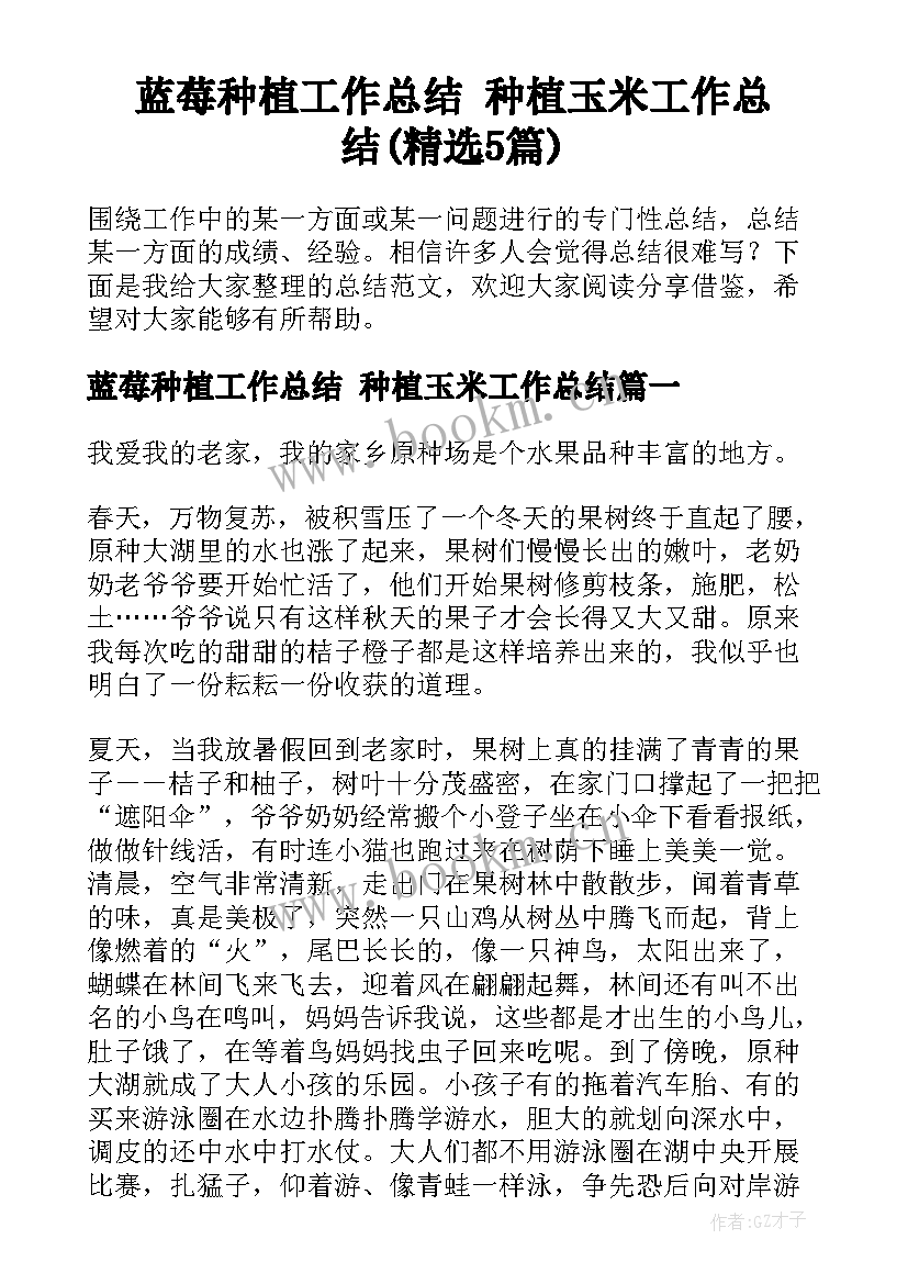 蓝莓种植工作总结 种植玉米工作总结(精选5篇)