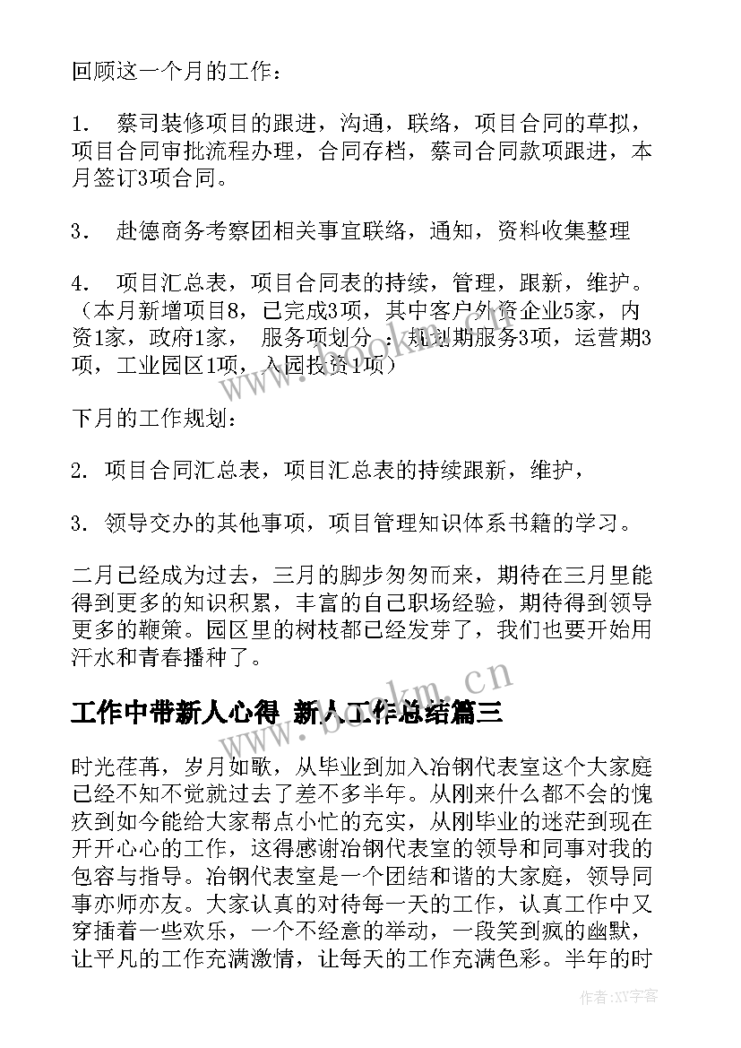 最新工作中带新人心得 新人工作总结(大全7篇)