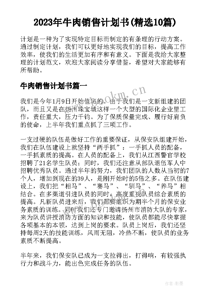 2023年牛肉销售计划书(精选10篇)