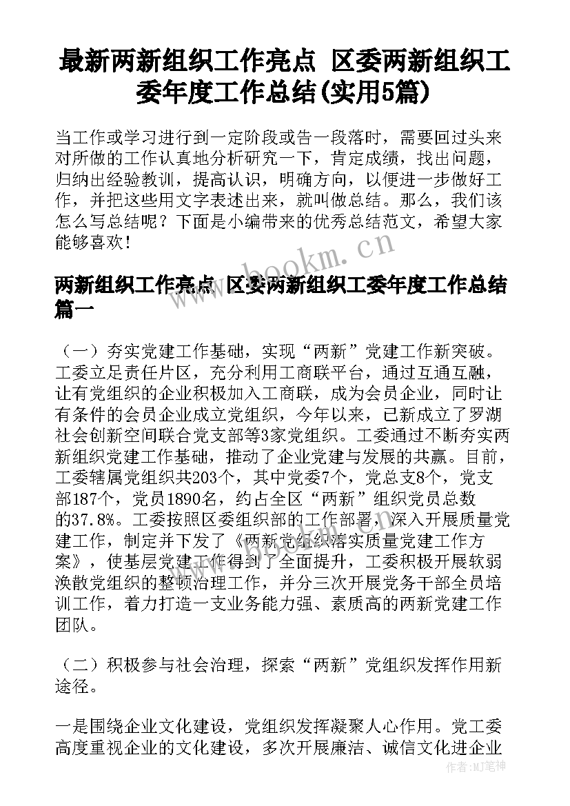 最新两新组织工作亮点 区委两新组织工委年度工作总结(实用5篇)