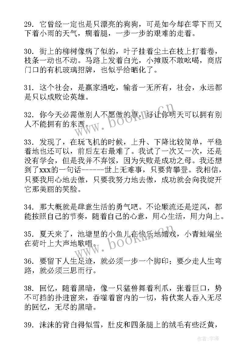 工作总结好词语有哪些 好词语和句子句(大全7篇)