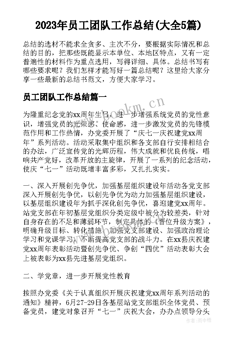 2023年员工团队工作总结(大全5篇)