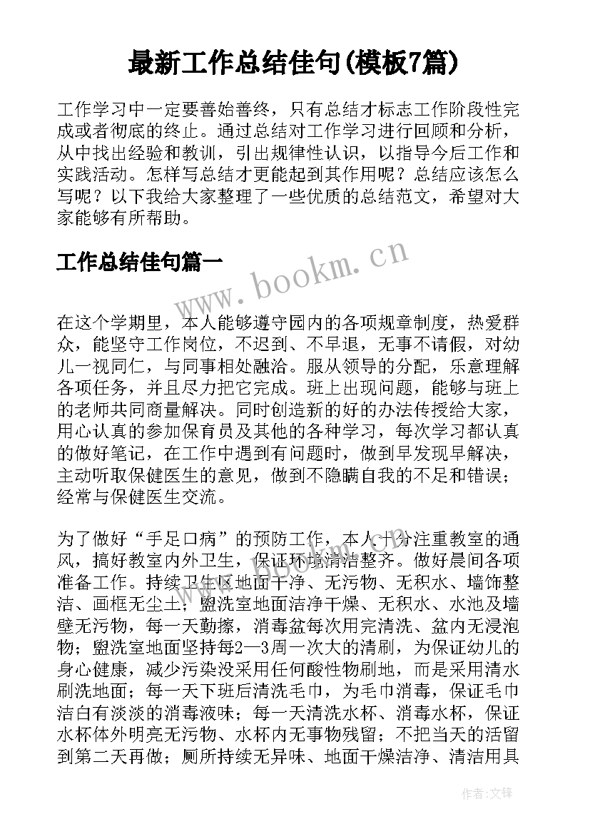 最新工作总结佳句(模板7篇)