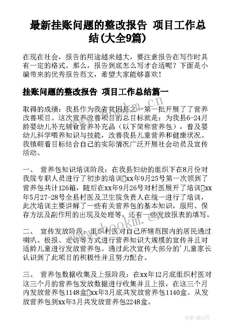 最新挂账问题的整改报告 项目工作总结(大全9篇)