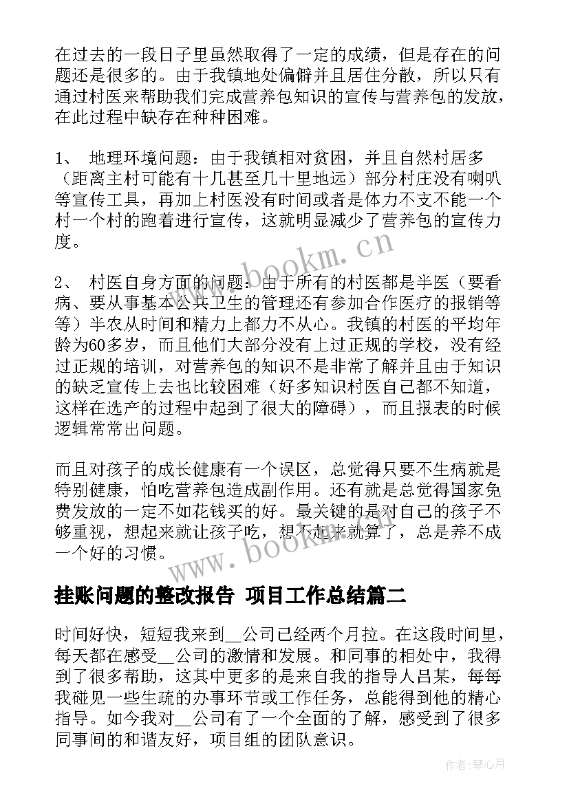 最新挂账问题的整改报告 项目工作总结(大全9篇)