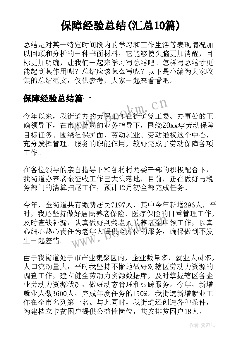 保障经验总结(汇总10篇)