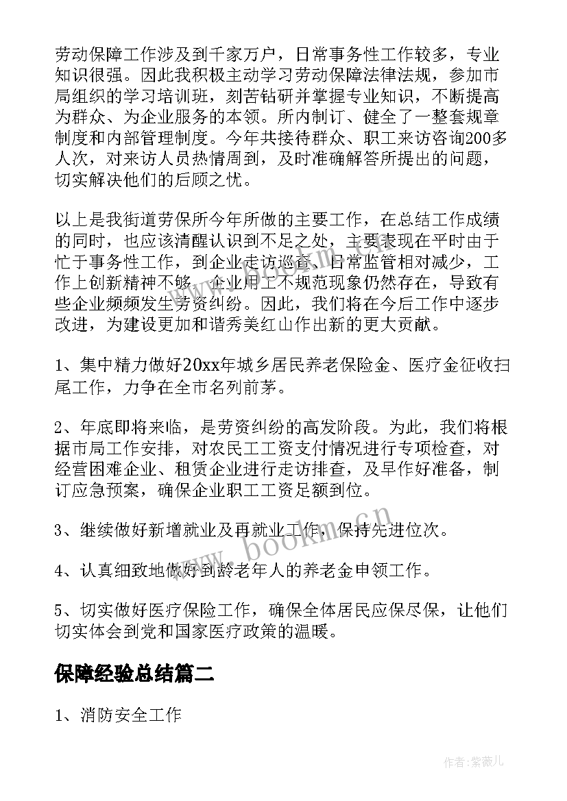 保障经验总结(汇总10篇)