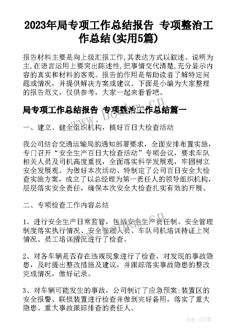 2023年局专项工作总结报告 专项整治工作总结(实用5篇)