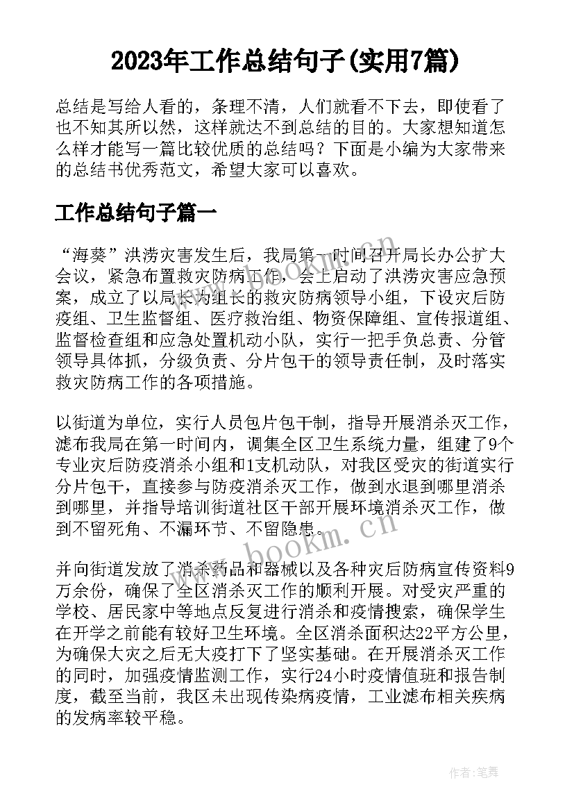 2023年工作总结句子(实用7篇)