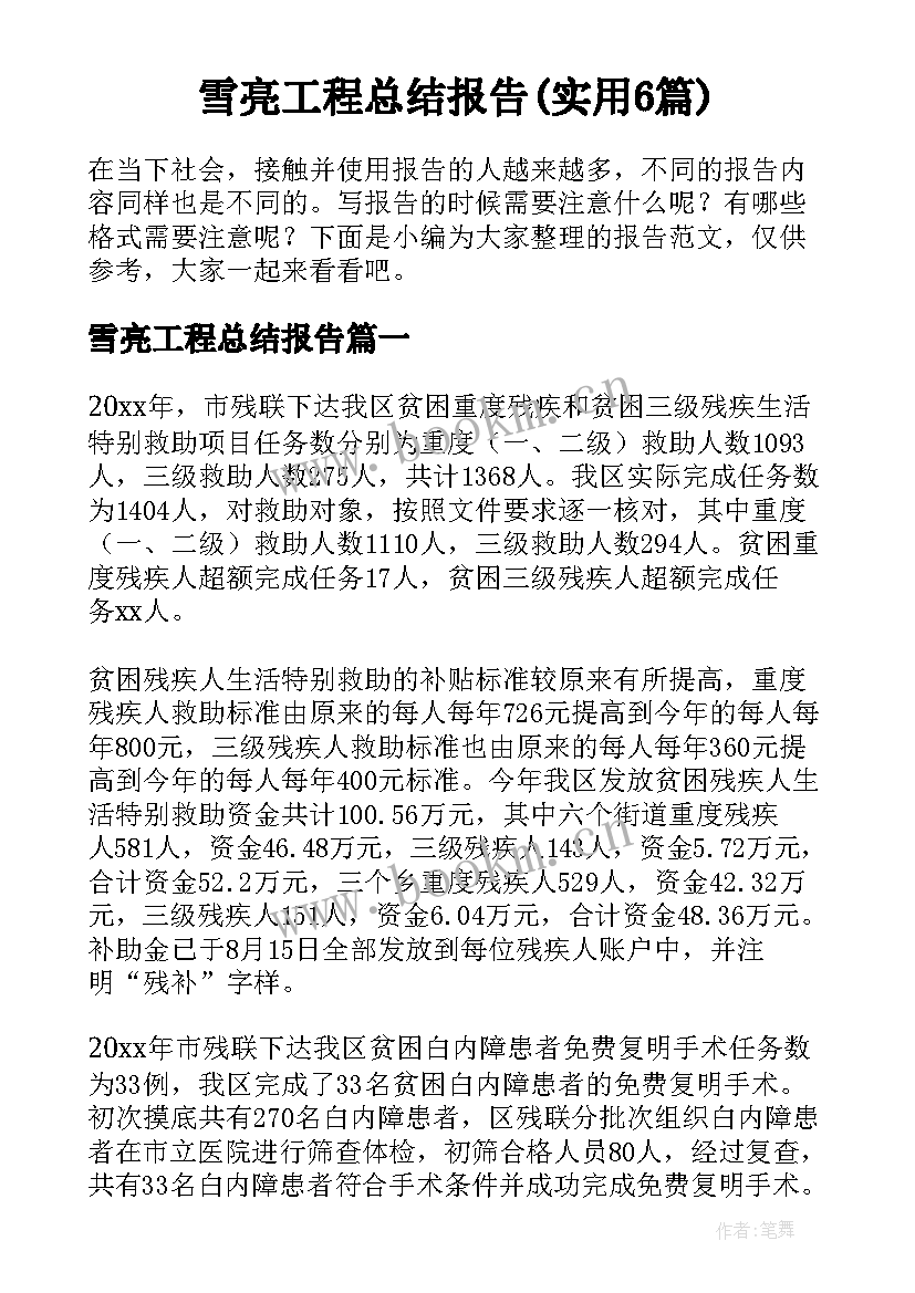 雪亮工程总结报告(实用6篇)