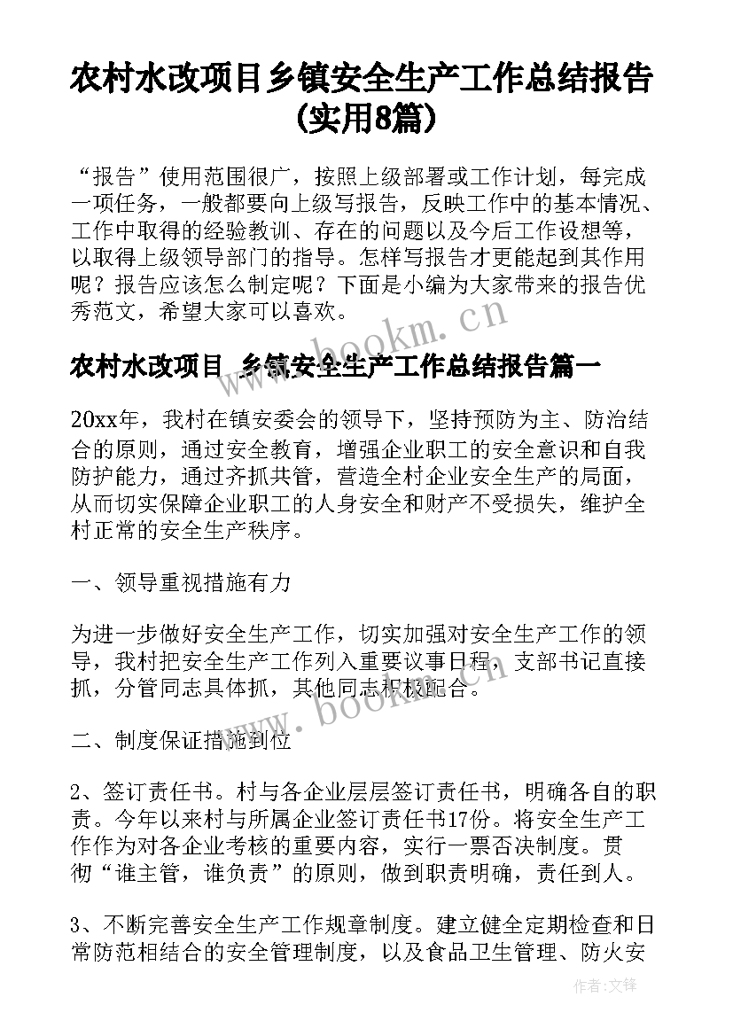 农村水改项目 乡镇安全生产工作总结报告(实用8篇)