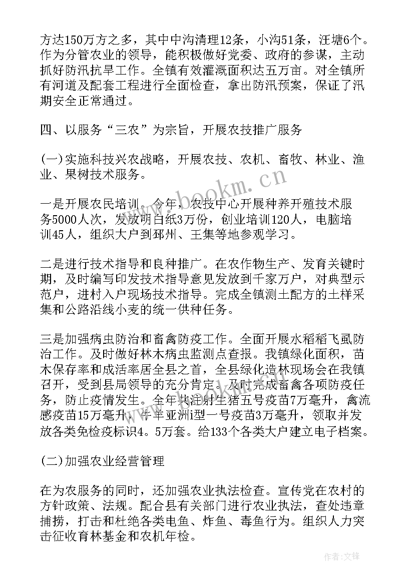 农村水改项目 乡镇安全生产工作总结报告(实用8篇)