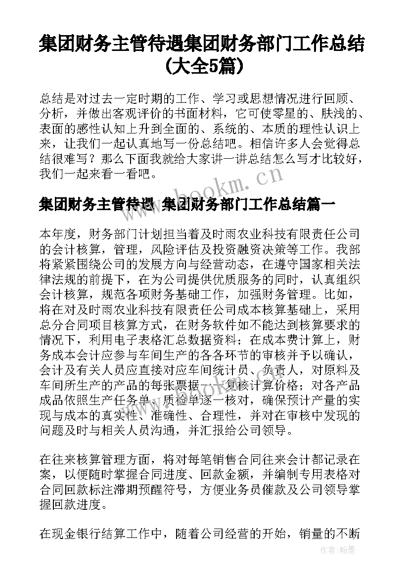 集团财务主管待遇 集团财务部门工作总结(大全5篇)