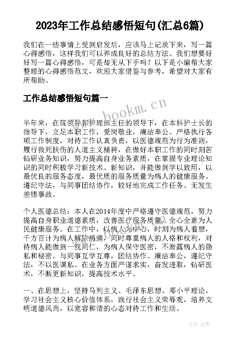 2023年工作总结感悟短句(汇总6篇)