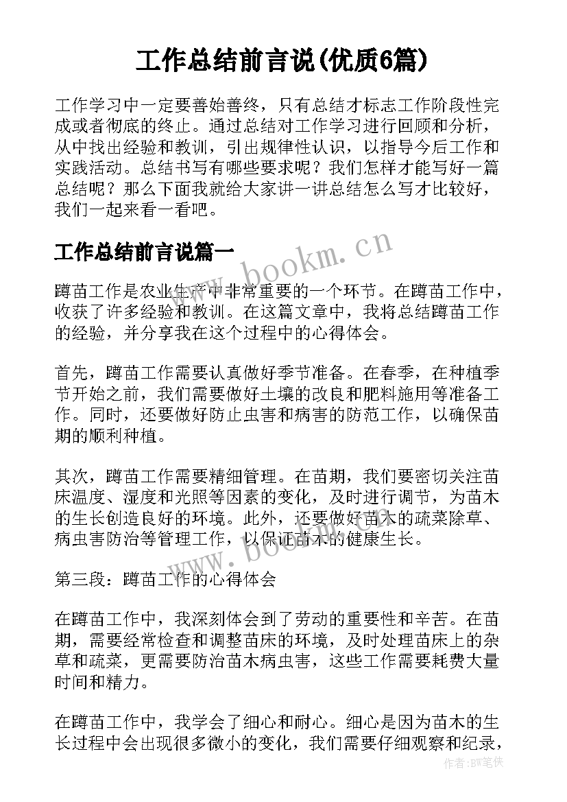 工作总结前言说(优质6篇)