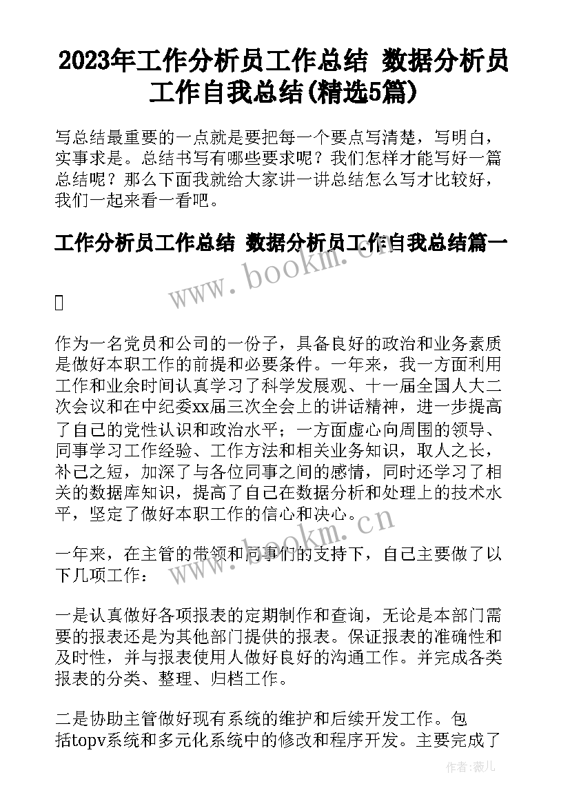 2023年工作分析员工作总结 数据分析员工作自我总结(精选5篇)