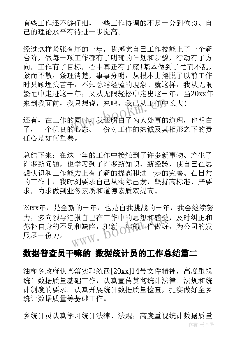 2023年数据普查员干嘛的 数据统计员的工作总结(精选8篇)