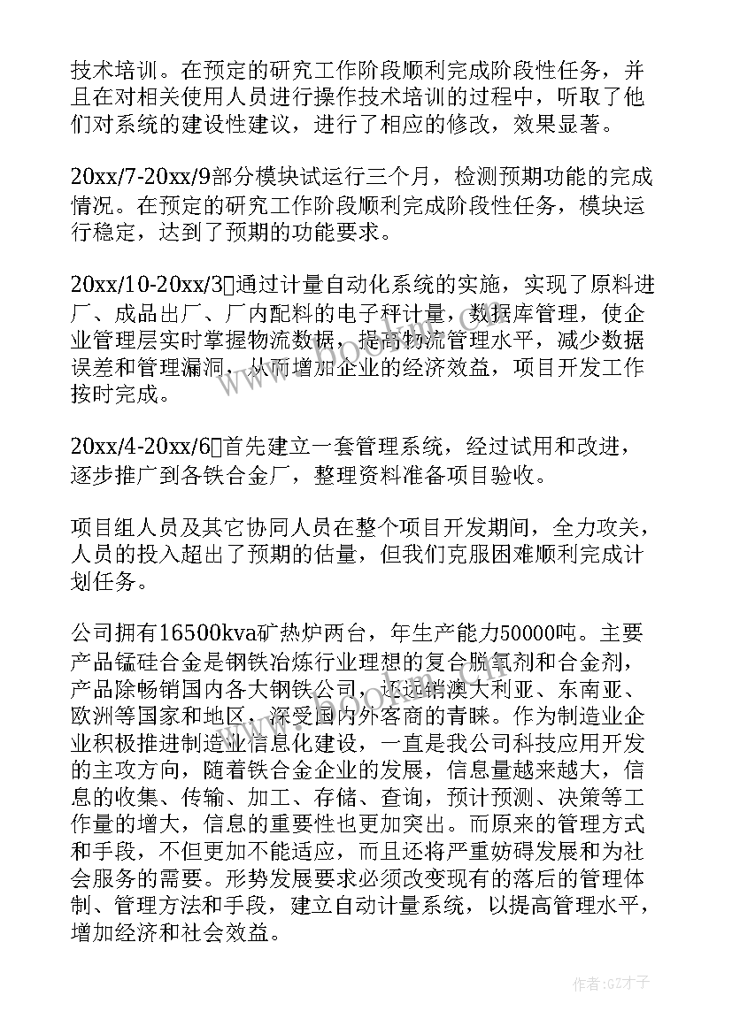 2023年项目总结意思(汇总6篇)