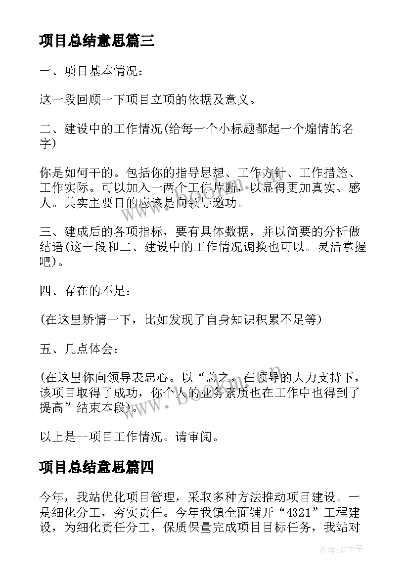 2023年项目总结意思(汇总6篇)