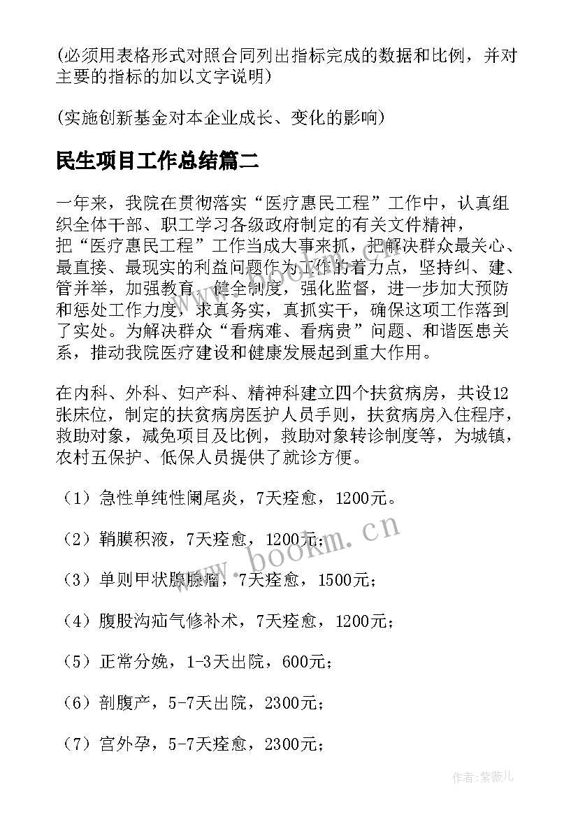 最新民生项目工作总结(通用8篇)