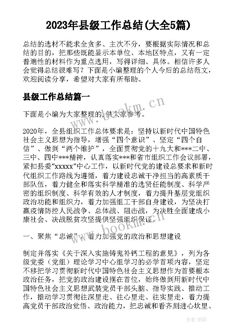 2023年县级工作总结(大全5篇)