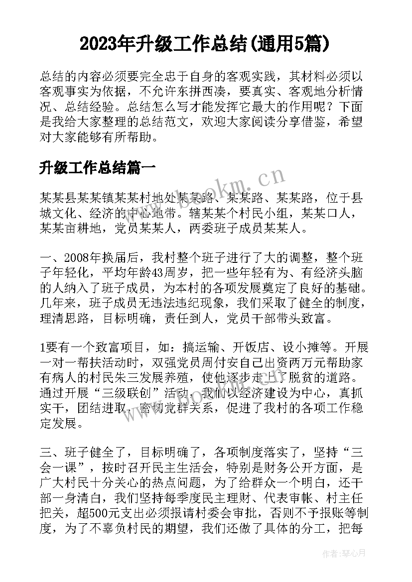 2023年升级工作总结(通用5篇)