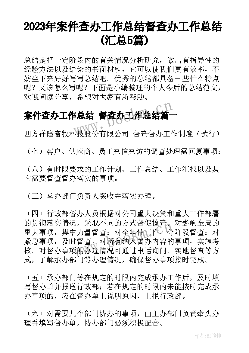 2023年案件查办工作总结 督查办工作总结(汇总5篇)