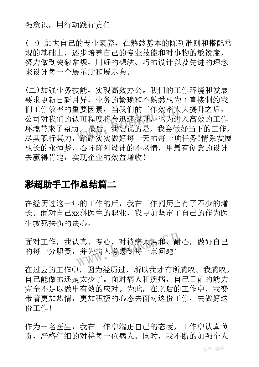 2023年彩超助手工作总结(模板5篇)