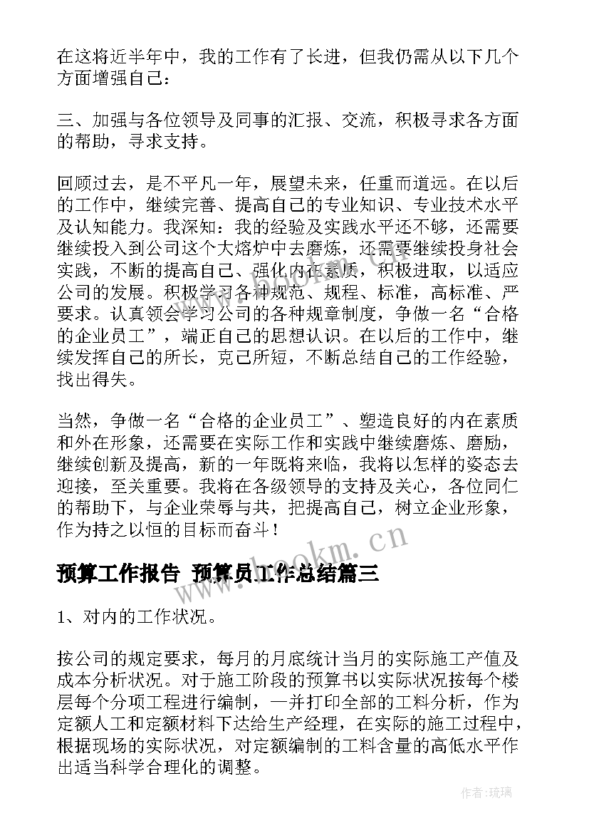 2023年预算工作报告 预算员工作总结(优秀8篇)