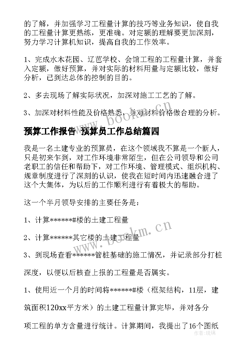 2023年预算工作报告 预算员工作总结(优秀8篇)