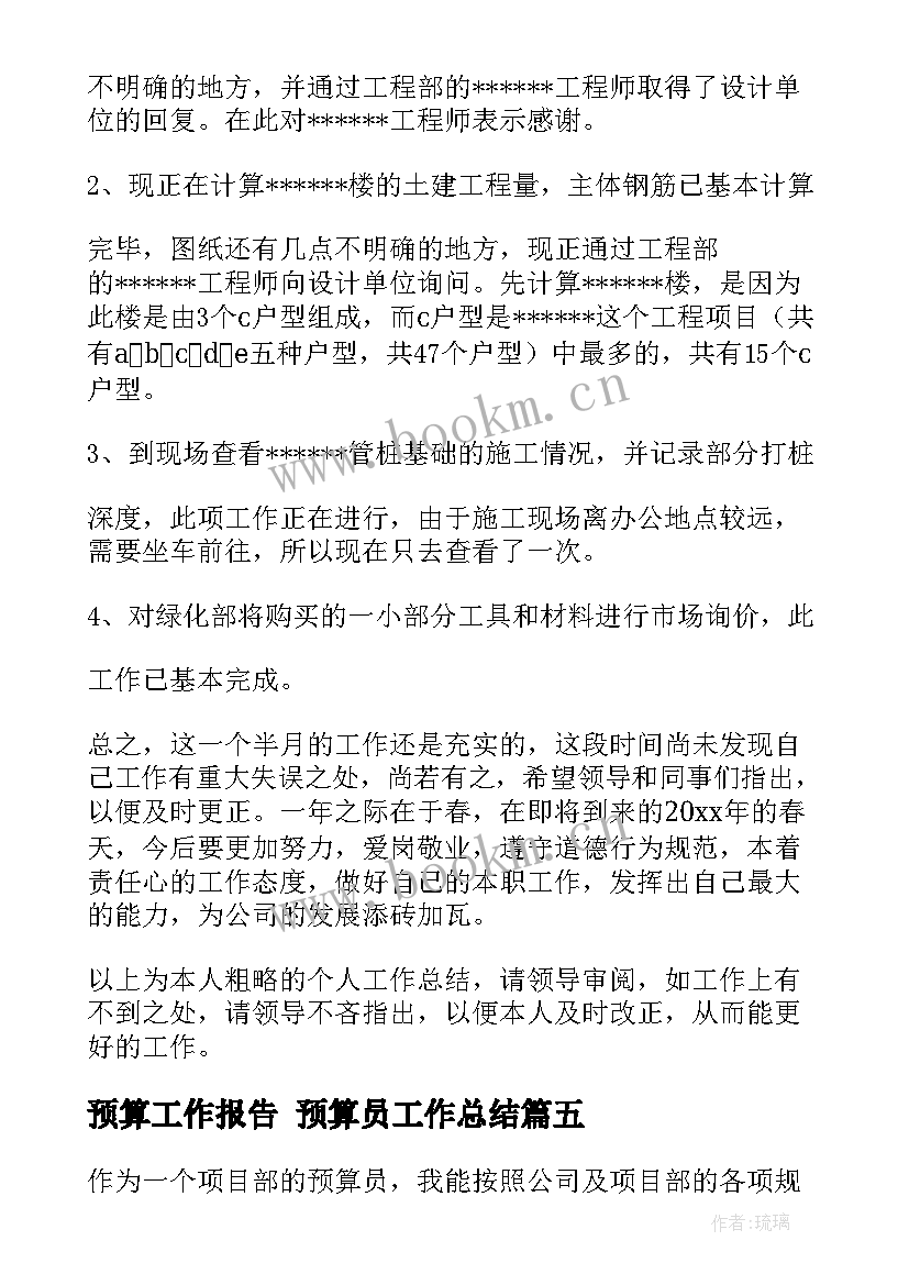 2023年预算工作报告 预算员工作总结(优秀8篇)