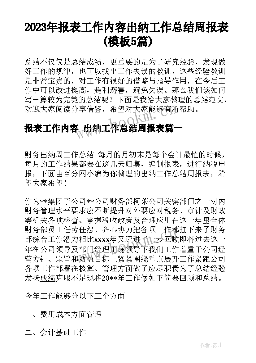 2023年报表工作内容 出纳工作总结周报表(模板5篇)