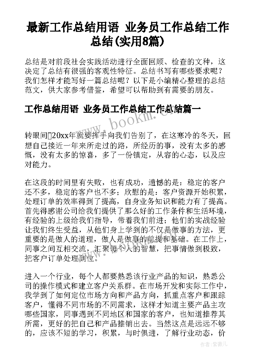 最新工作总结用语 业务员工作总结工作总结(实用8篇)