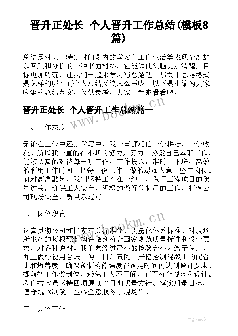 晋升正处长 个人晋升工作总结(模板8篇)