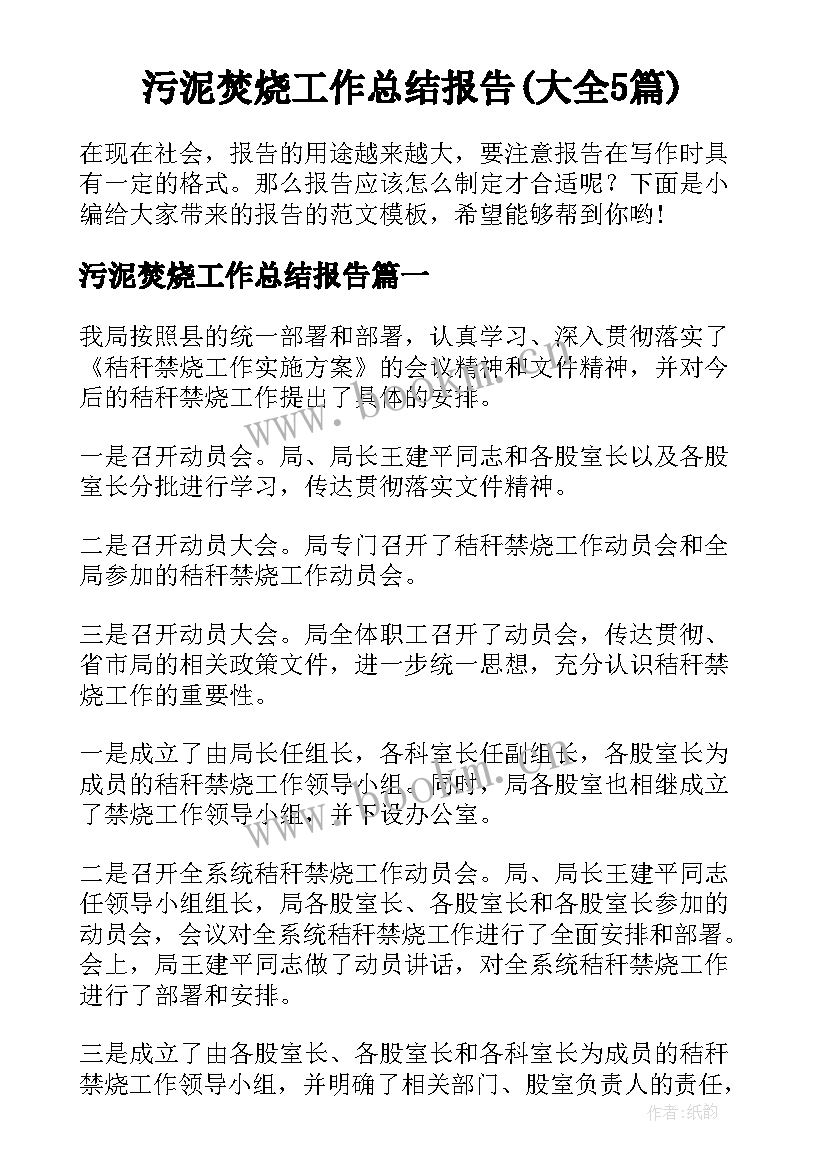 污泥焚烧工作总结报告(大全5篇)