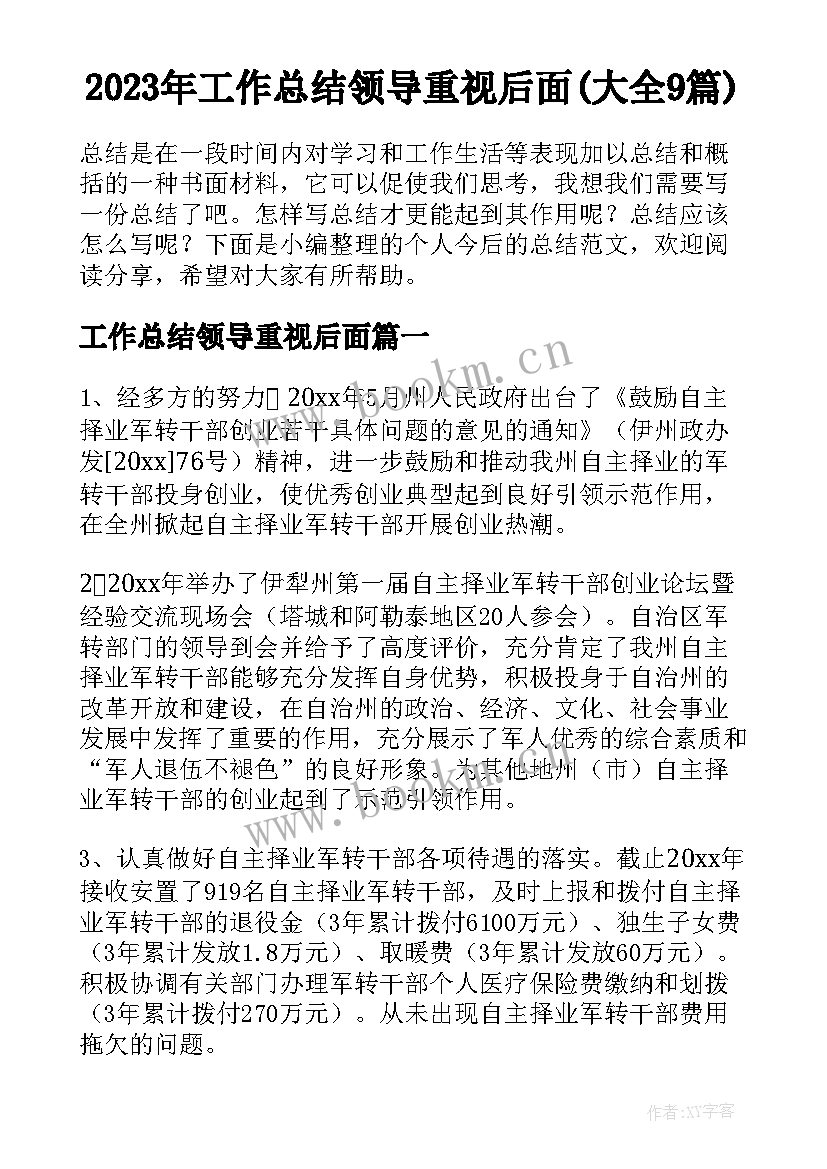 2023年工作总结领导重视后面(大全9篇)