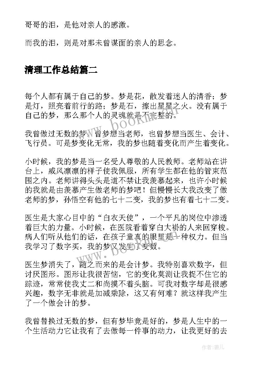 最新清理工作总结(通用8篇)